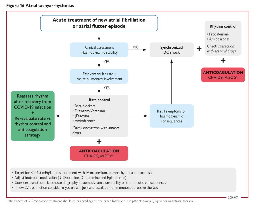 Understanding the Disability Discrimination Act